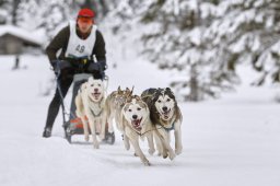 Kandersteg 2014 WM