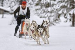 Kandersteg 2014 WM