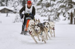 Kandersteg 2014 WM