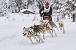 Kandersteg 2014 WM