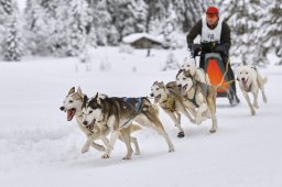 Kandersteg 2014 WM