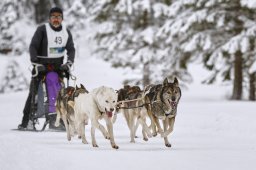 Kandersteg 2014 WM
