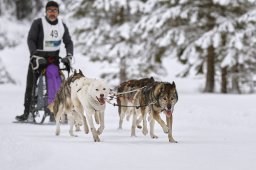 Kandersteg 2014 WM