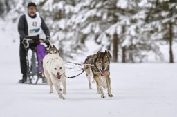 Kandersteg 2014 WM