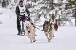 Kandersteg 2014 WM