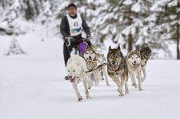 Kandersteg 2014 WM