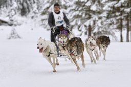 Kandersteg 2014 WM