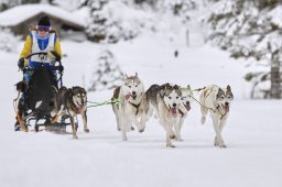 Kandersteg 2014 WM