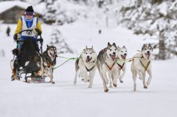 Kandersteg 2014 WM