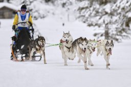 Kandersteg 2014 WM