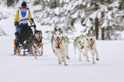 Kandersteg 2014 WM