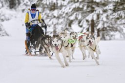 Kandersteg 2014 WM