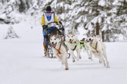 Kandersteg 2014 WM