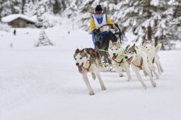 Kandersteg 2014 WM