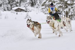 Kandersteg 2014 WM