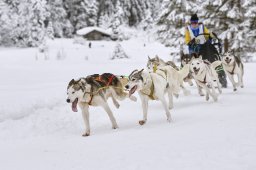 Kandersteg 2014 WM