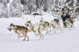 Kandersteg 2014 WM