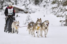 Kandersteg 2014 WM