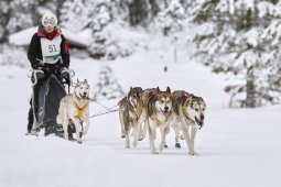 Kandersteg 2014 WM