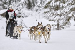 Kandersteg 2014 WM