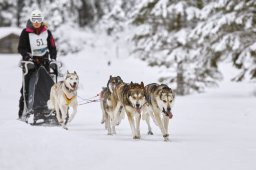 Kandersteg 2014 WM