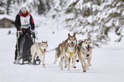Kandersteg 2014 WM