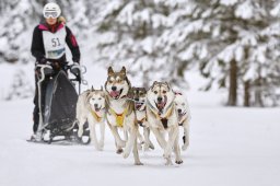 Kandersteg 2014 WM