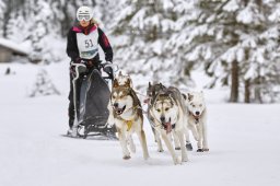 Kandersteg 2014 WM