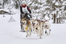 Kandersteg 2014 WM