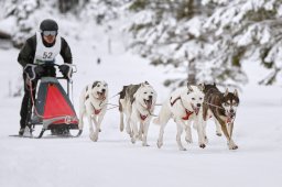 Kandersteg 2014 WM