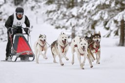 Kandersteg 2014 WM
