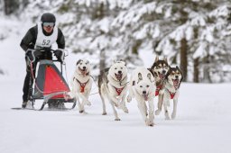 Kandersteg 2014 WM