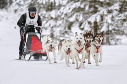 Kandersteg 2014 WM