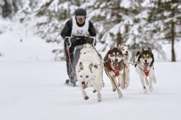 Kandersteg 2014 WM