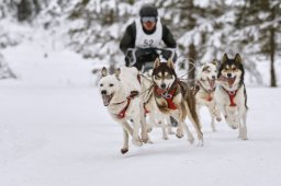 Kandersteg 2014 WM