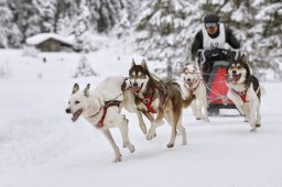 Kandersteg 2014 WM
