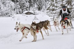 Kandersteg 2014 WM