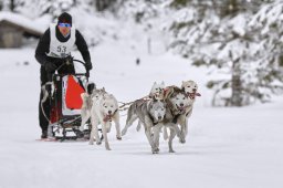 Kandersteg 2014 WM