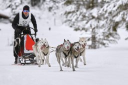 Kandersteg 2014 WM