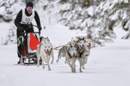 Kandersteg 2014 WM