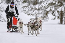 Kandersteg 2014 WM