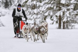 Kandersteg 2014 WM