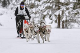 Kandersteg 2014 WM