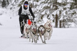 Kandersteg 2014 WM