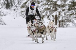 Kandersteg 2014 WM