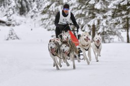 Kandersteg 2014 WM