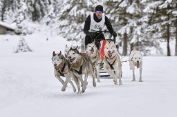 Kandersteg 2014 WM