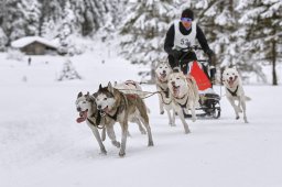 Kandersteg 2014 WM