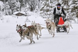 Kandersteg 2014 WM