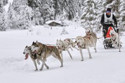 Kandersteg 2014 WM